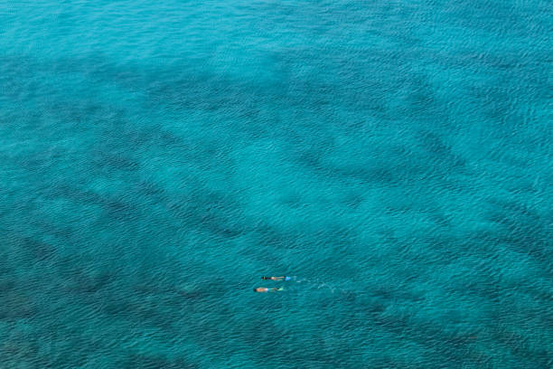 istock Snorkeling in beauty 937075268