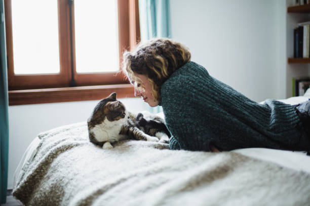 mulher jovem e bonita com seu gato na cama - above 21 - fotografias e filmes do acervo