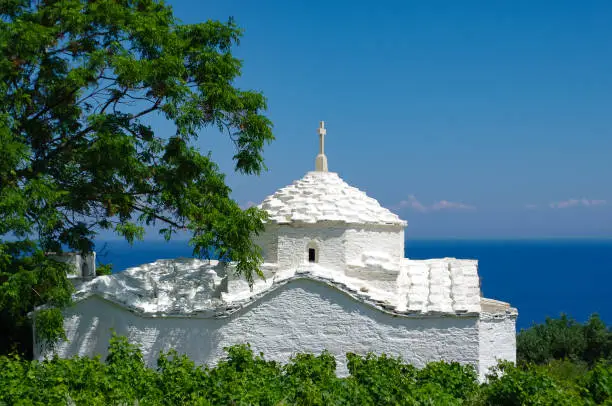 White church in front of the blue sea, framed by bushes and a tree