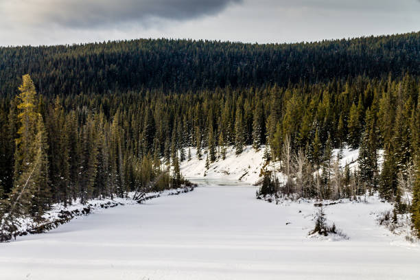 istock Eerie winter morning, North Ghost Provincial Recreation Area, Alberta, Canada 937081896