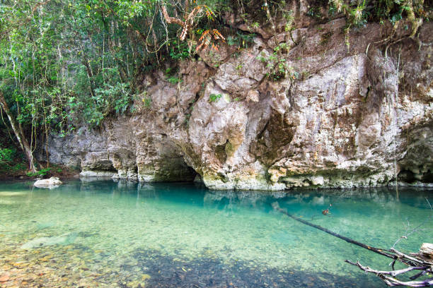istock Bladen River and Jungle Scenery in Belize 937091846