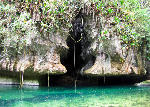 A cave in the shape of a keyhole in a very remote piece of jungle in central Belize.
