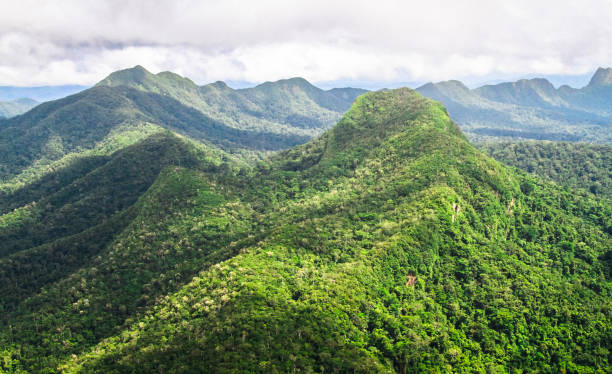 istock Aerial View of Mountainous Jungle in Belize 937092690