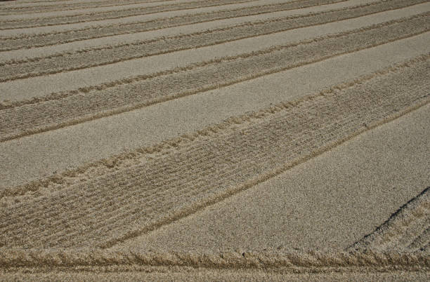 istock Zen Garden in Kyoto Japan 937093328