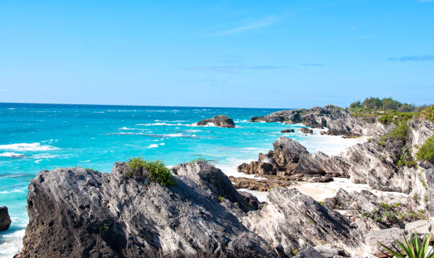 istock Bermuda South Trail along Elbow beach area 937093512