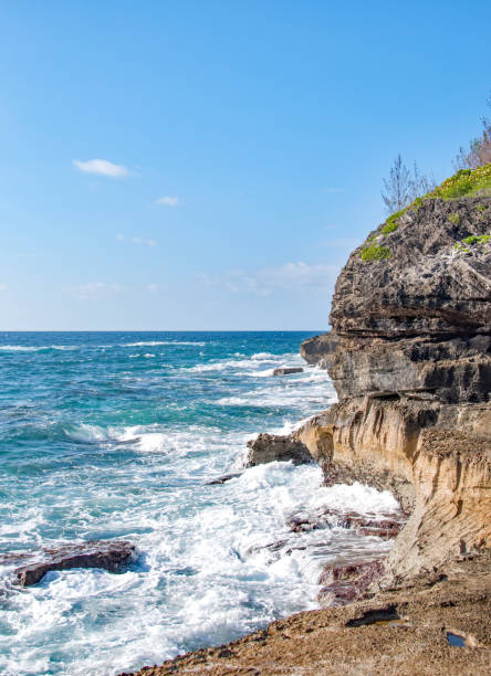 istock Bermuda Spittal Pond Trail along the ocean 937099410