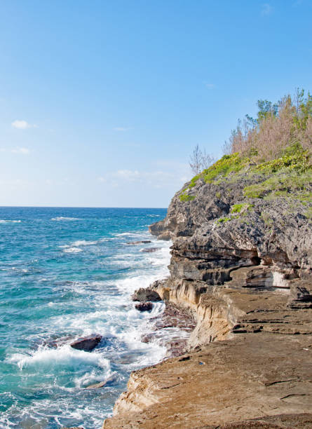 istock Bermuda Spittal Pond Trail along the ocean 937099560