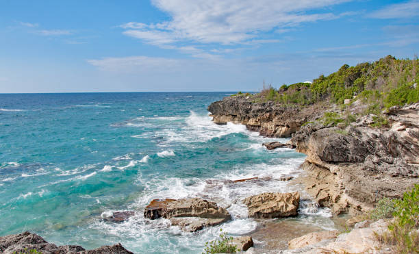 istock Bermuda Spittal Pond Trail along the ocean 937100124