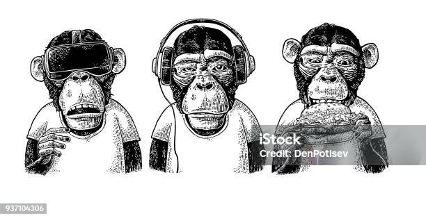 3 현명한 원숭이입니다 볼 듣지 말을 하지 빈티지 조각 원숭이에 대한 스톡 벡터 아트 및 기타 이미지 - 원숭이, 유인원, 그리기