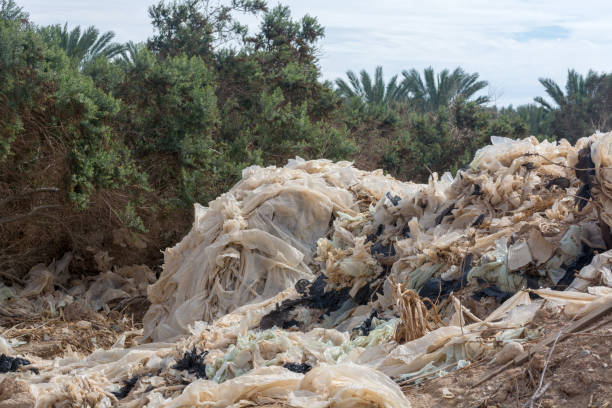 istock Ecology disaster and pollution of nature, plastic garbage decomposes under hot sun 937107482