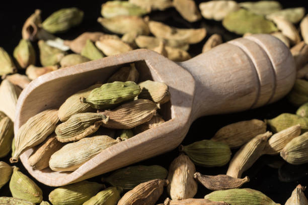 istock Macro collection, dried green cardamom pods close up 937111082