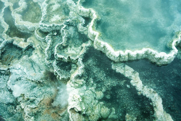 istock geothermal detail at Yellowstone 937114766