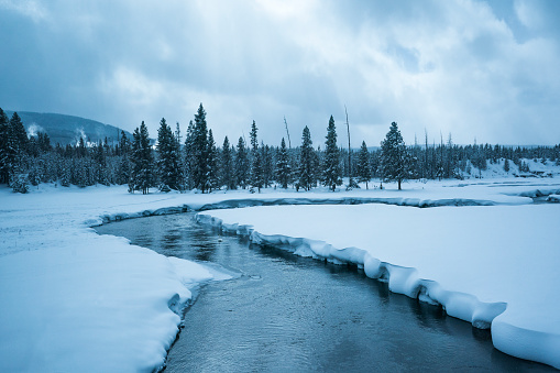 Scenic creek lined by snow banks wanders through Yellowstone National Park, Wyoming, USA