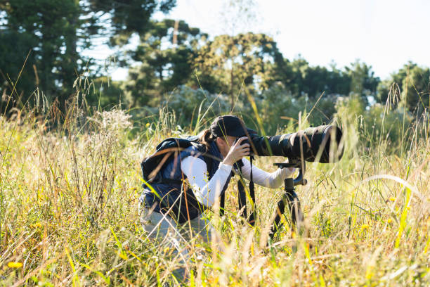 istock Wildlife photographer 937123698