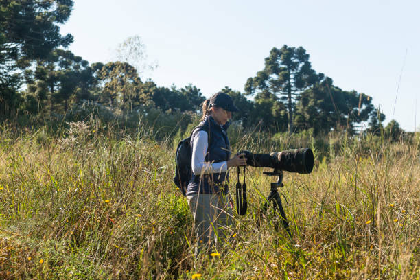istock Wildlife photographer 937123804