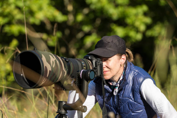 istock Wildlife photographer 937123840