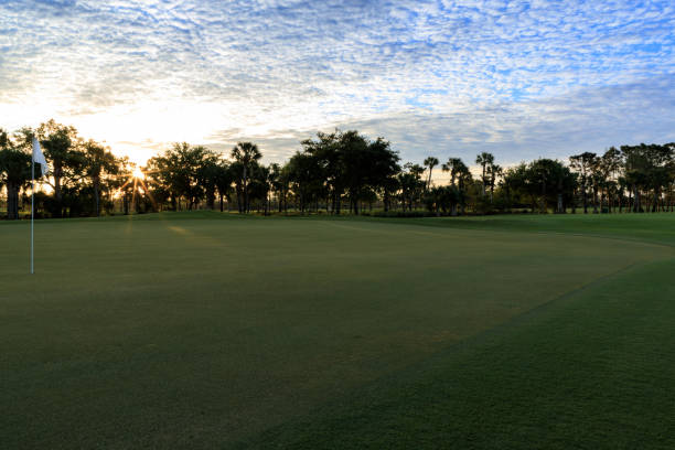 istock Freshly mowed green grass at dawn 937129466