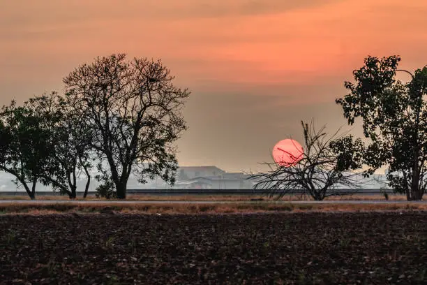 Beautiful sunset with some trees as foreground