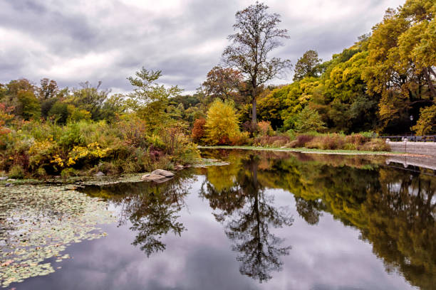 istock Fall in Prospect park in Brooklyn, New York 937134706