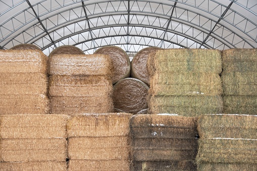 Big hay bales stacked inside the Quonset shed.