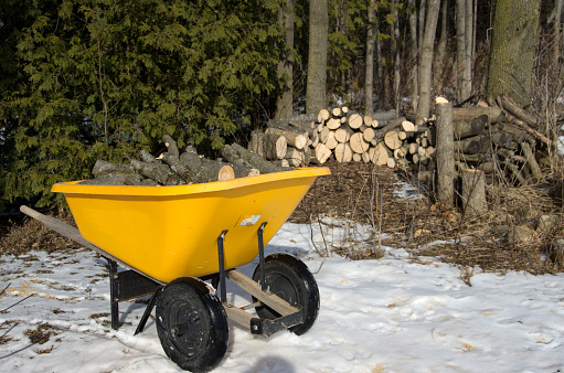View of a wheelbarrow filled with firewood next to a pile of wood in the background.