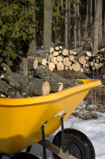 View of a wheelbarrow filled with firewood next to a pile of wood in the background.