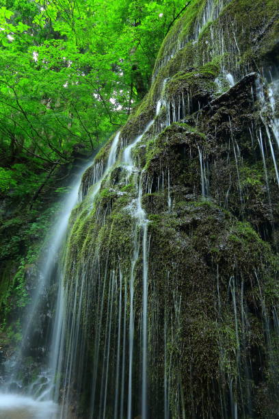 istock Takinosawa in the summer 937175042