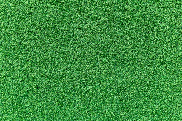 istock Grass texture or grass background for golf course soccer field or sports background concept design. Artificial green grass. 937179994