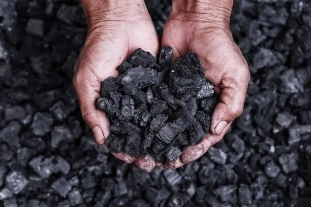 Coal mining - coal miner in the man hands of coal background. Picture idea about coal mining or energy source, environment protection. Industrial coals. Volcanic rock.