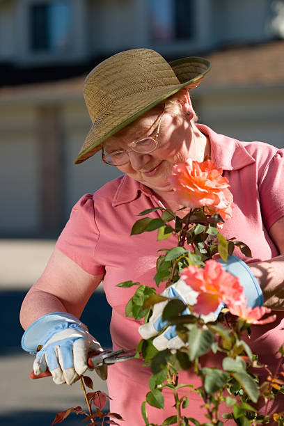 istock Senior lady in garden 93718666