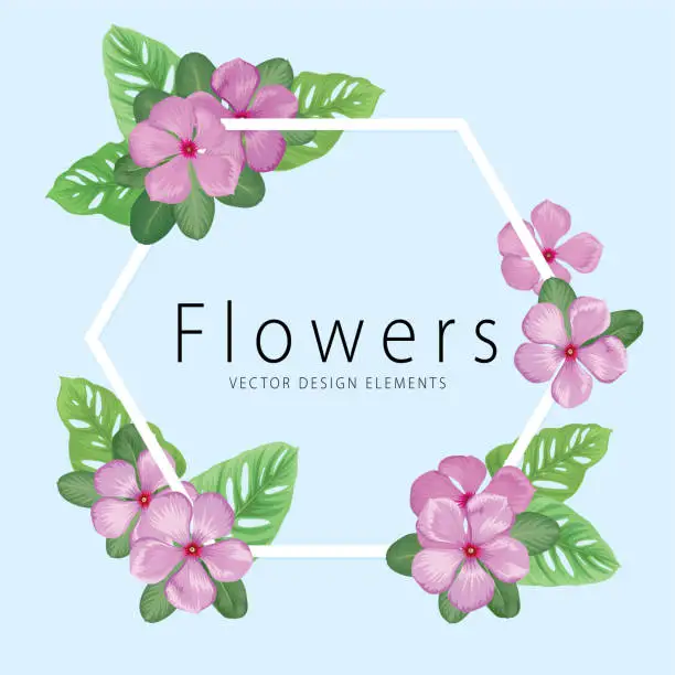 Vector illustration of Tropical frame with vinca flowers and leaves background.