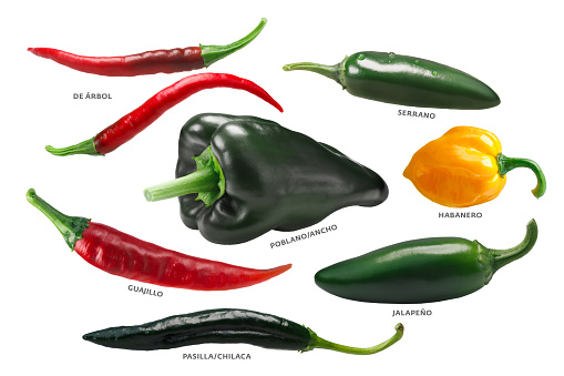Mexican chile peppers: Arbol, Pasilla, Guajillo, Poblano, Habanero, Jalapeno. Clipping paths