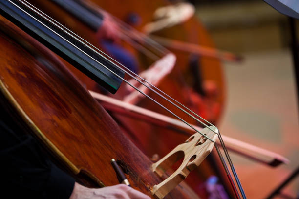 istock Fragment of a double bass 937199478