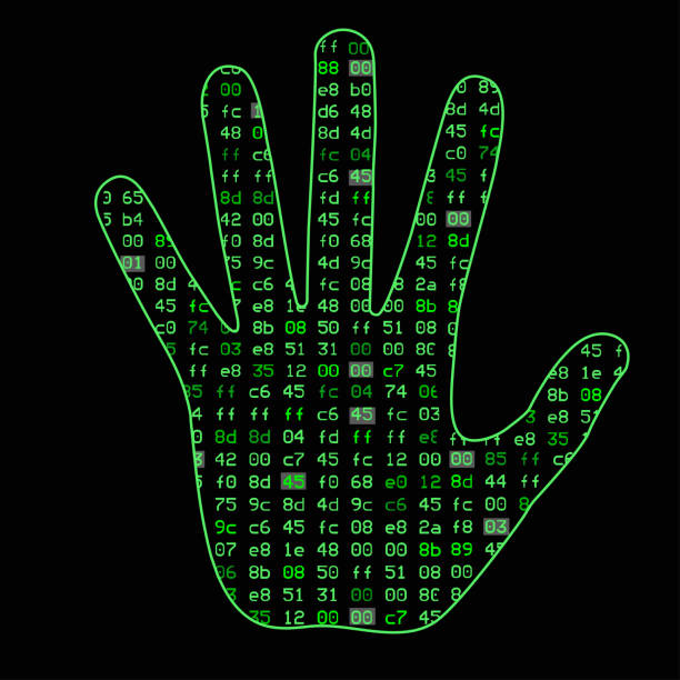 ilustrações de stock, clip art, desenhos animados e ícones de artificial intelligence. silhouette of a man hand palm, inside which binary code. it can illustrate scientific ideas, artificial neural networks, deep learning, development of technology - synapse computer chip communication abstract