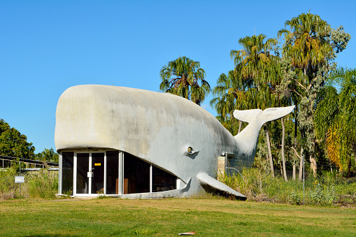 Kinka Beach, Queensland, Australia - December 27, 2017. Large Whale building, designed by Kevin Logan and housing private facilities in Kinka Beach, Queensland. This building is listed among Big Things of Australia.