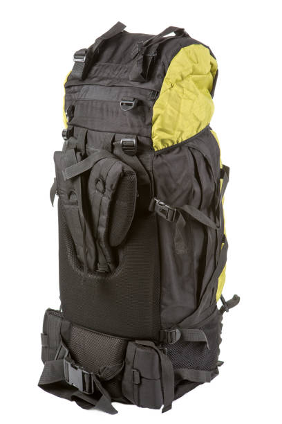 istock large backpack, combined color, filled, standing back side, on white background 937216560