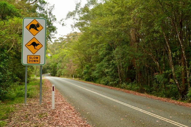 istock Slow Down traffic sign along the road in Australia 937217458