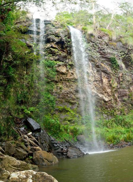 istock Twin Falls in Springbrook National Park, Queensland, Australia. 937221682