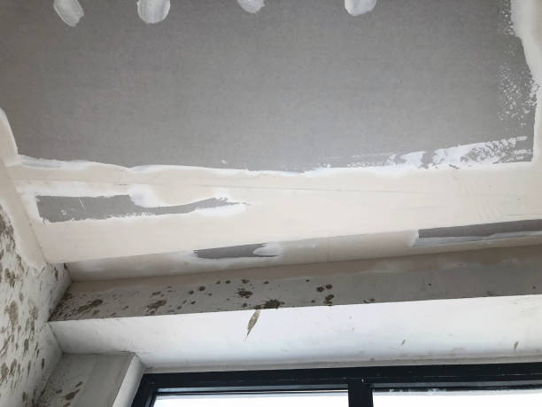 istock Interior in construction and wall decoration at building site 937227298