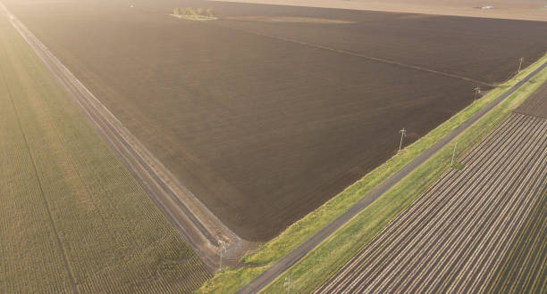 istock Cotton field in the countryside. 937244260