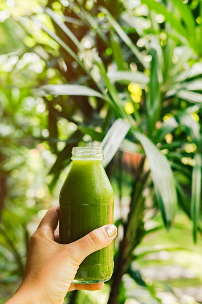 istock Woman's hand holding a bottle with green juice 937244614