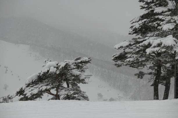 istock Snowy mountains in Madarao, Japan 937245118