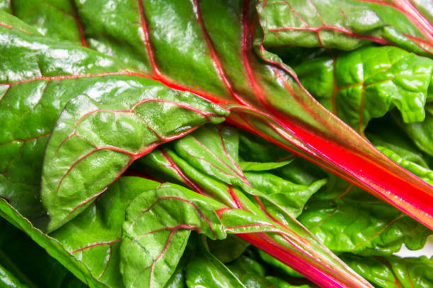 istock Rainbow swiss chard, mangold beetroot leaves 937250336