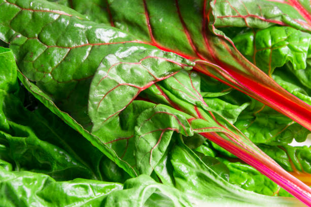 istock Rainbow swiss chard, mangold beetroot leaves 937250446