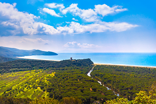 Panoramic view of Maremma Regional Park also known as Uccellina Park. Tower, forest and sea coast. Tuscany, Italy Europe.