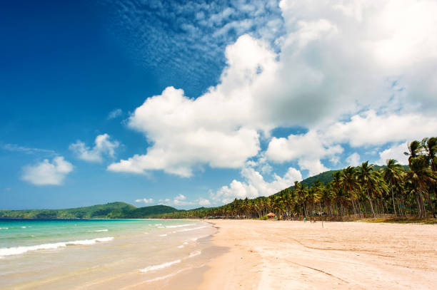 тропический широкий не соломенный пляж с пальмами и белым песком, голубое небо с облаками, море, никто. остров палаван, пляж накпан, филиппин - philippines beach pacific islands white стоковые фото и изображения