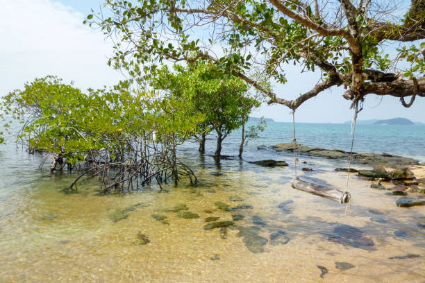 istock Koh Ta Kiev island, Cambodia 937253888