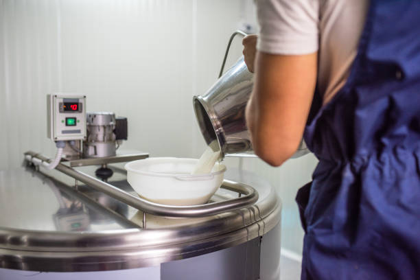 istock Veterinarians pouring milk into tank 937254024