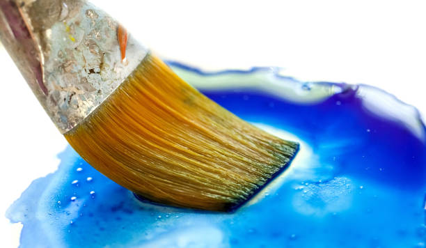 istock Brush dipping into wet paint. 937259806