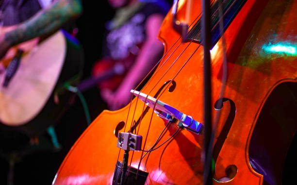 istock Double bass on the stage 937266420